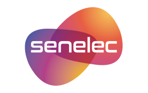 Société Nationale d’Électricité du Sénégal (SENELEC)