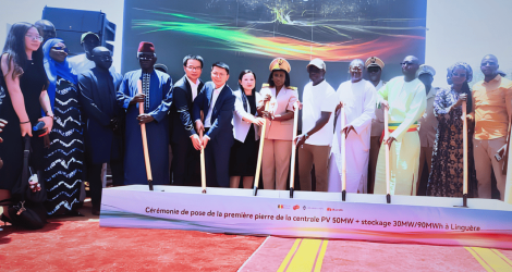 Afficher les photos récentes (1)