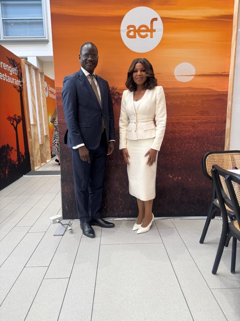 Coopération entre le Sénégal et l’initiative Sustainable Energy for All (SEforALL)