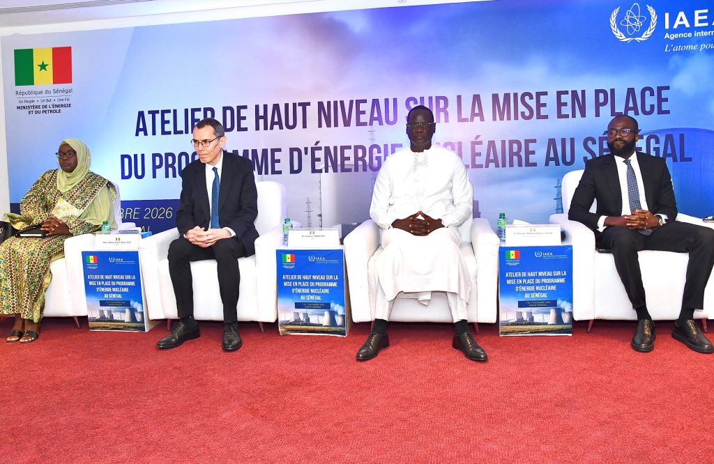 Atelier sur la préparation du programme électronucléaire (NEPIO)