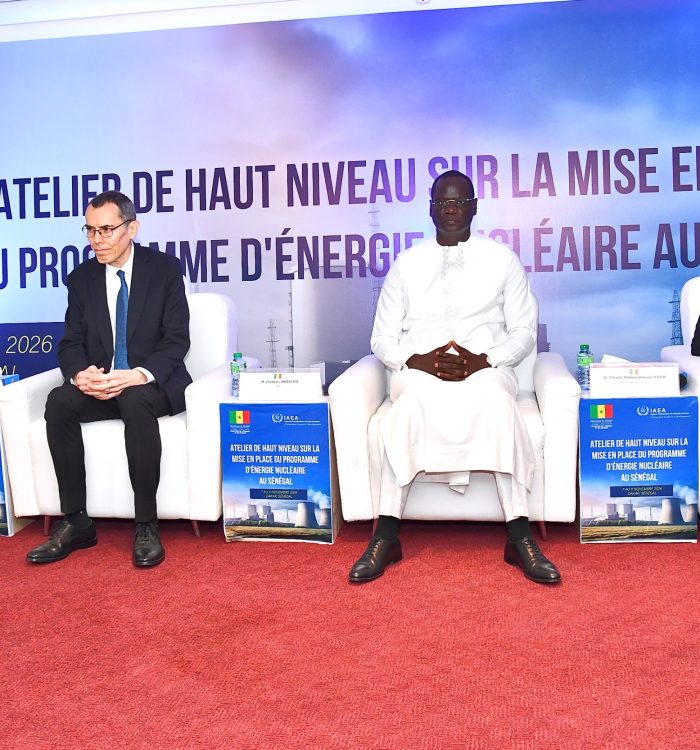Atelier sur la préparation du programme électronucléaire (NEPIO)