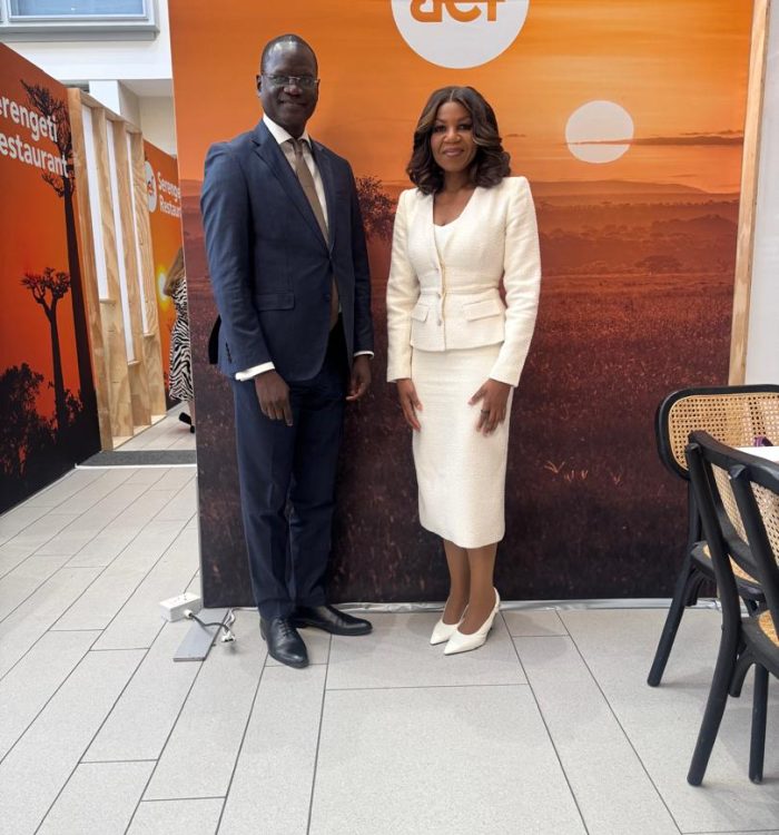 Coopération entre le Sénégal et l’initiative Sustainable Energy for All (SEforALL)