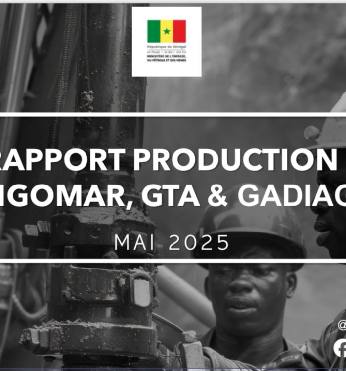 Sangomar, GTA et Gadiaga : évolution des performances