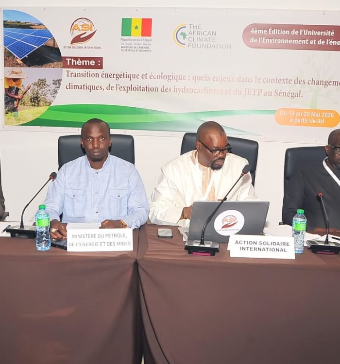 Transition énergétique et écologique au Sénégal